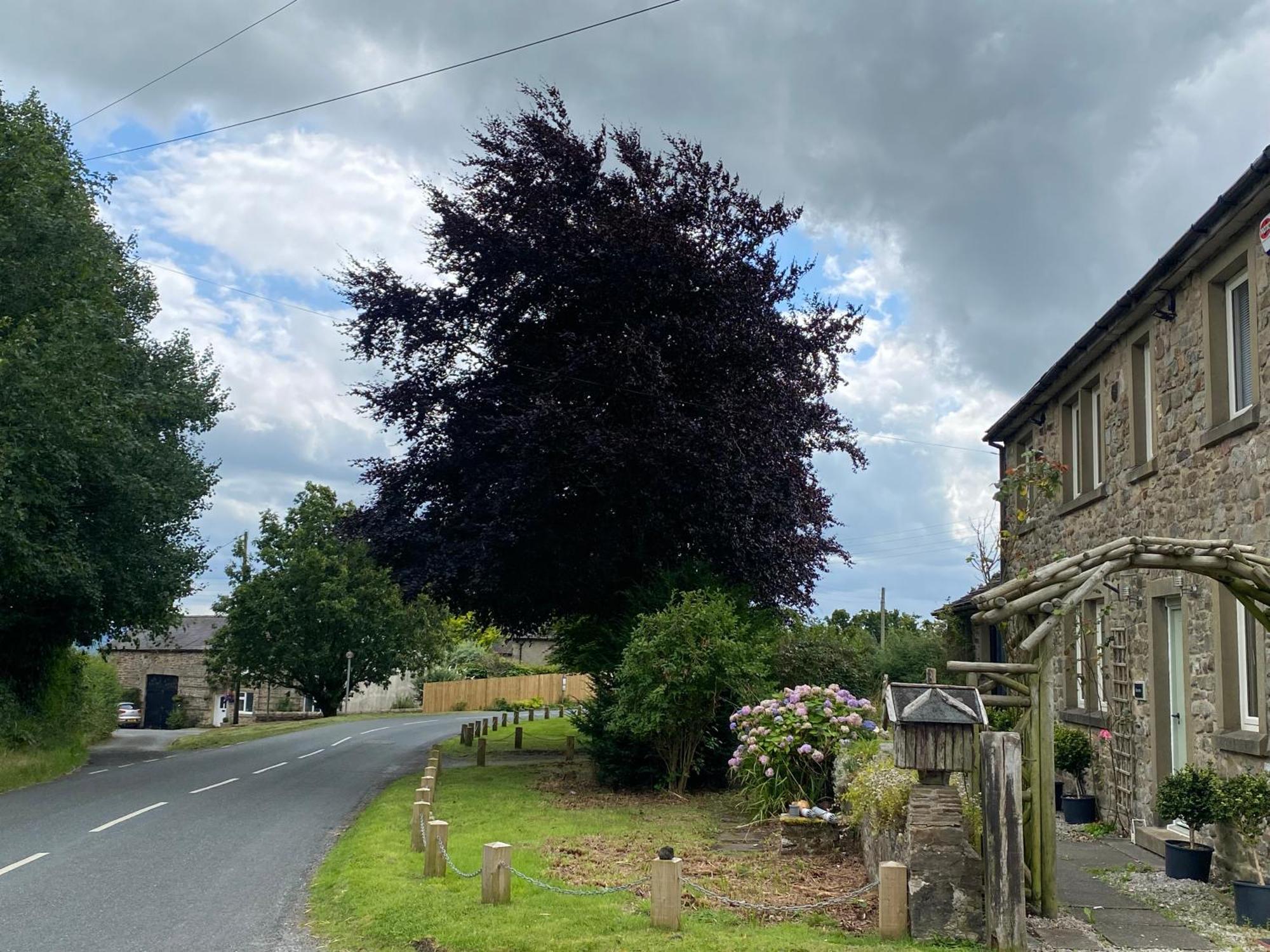 Chapel Cottage Clitheroe Road Waddington  Buitenkant foto